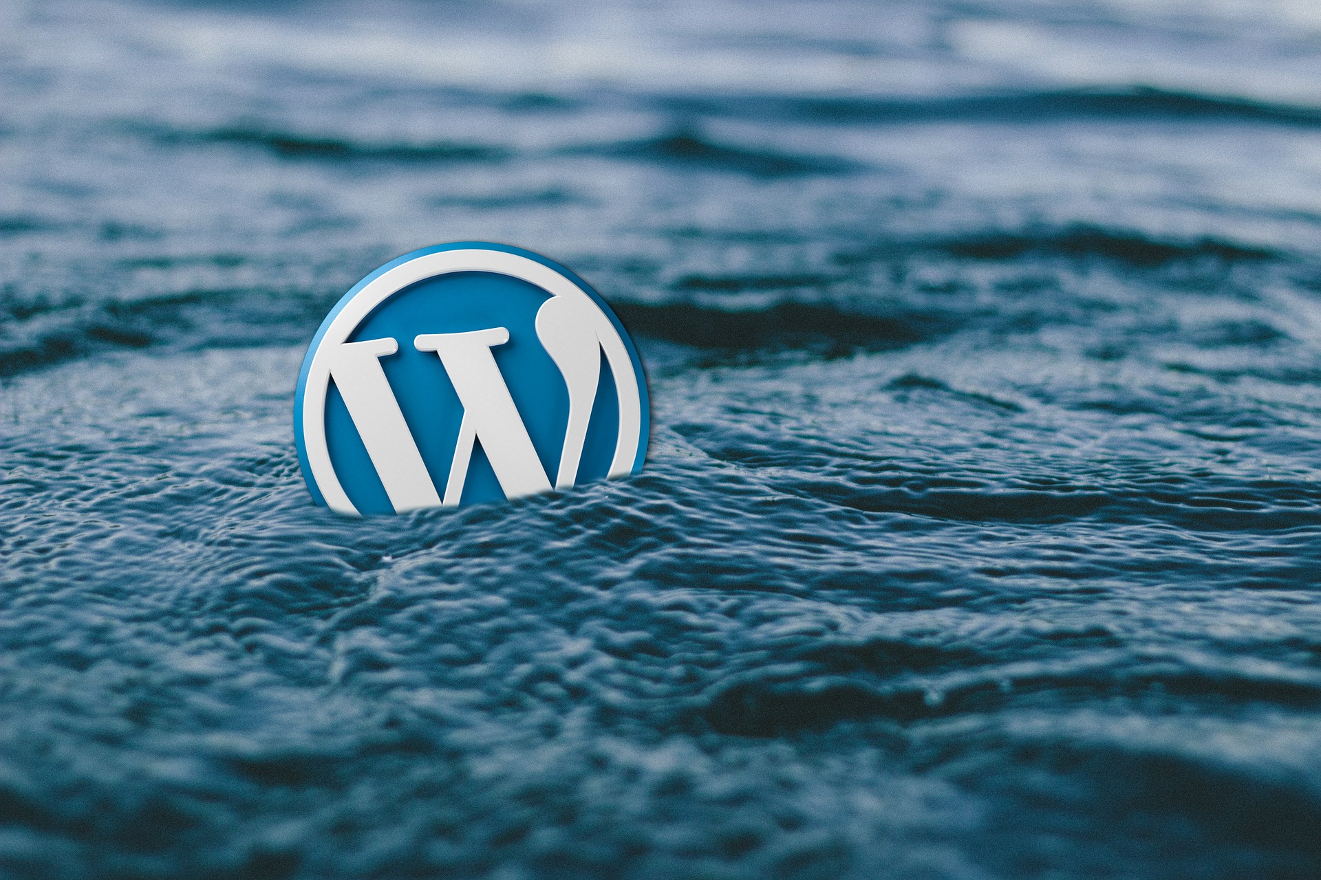 Desarrollo WordPress